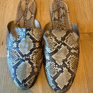 Mystique snakeskin loader slides size 9